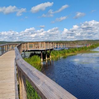 14 Michigan Boardwalks Perfect for a Scenic Walk