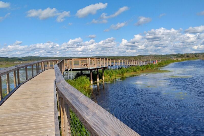 14 Michigan Boardwalks Perfect for a Scenic Walk