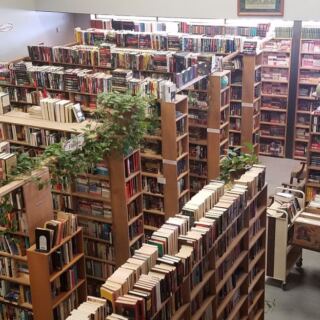 This Louisiana Used Bookstore Is Packed With Books, Vinyl Records And Hidden Treasures