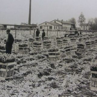 How a Farming Community Took Shape Comes Alive at New Jersey’s Seabrook Museum