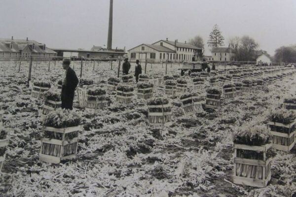 How a Farming Community Took Shape Comes Alive at New Jersey’s Seabrook Museum