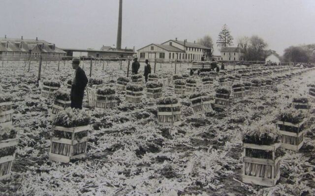 How a Farming Community Took Shape Comes Alive at New Jersey’s Seabrook Museum