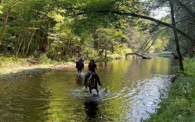 This New Jersey Ranch Leads Two-Hour Horseback Rides Past Creeks And Wildflower Fields