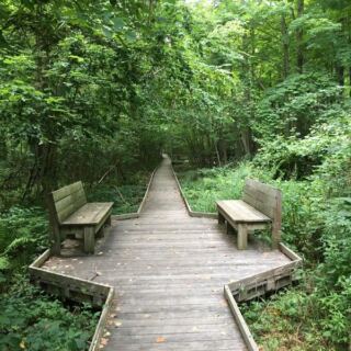 This Massachusetts Wildlife Sanctuary Has a Hilltop Trail Where Deer and Owls Wander Close at Dusk
