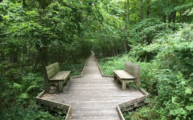 This Massachusetts Wildlife Sanctuary Has a Hilltop Trail Where Deer and Owls Wander Close at Dusk