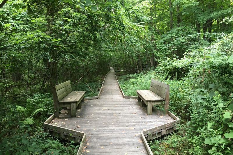 This Massachusetts Wildlife Sanctuary Has a Hilltop Trail Where Deer and Owls Wander Close at Dusk