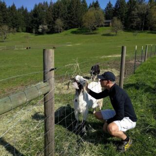 These 7 Oregon Animal Sanctuaries Let You Meet Rescued Animals Up Close
