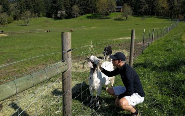 These 7 Oregon Animal Sanctuaries Let You Meet Rescued Animals Up Close