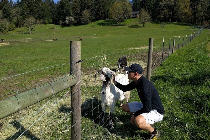 These 7 Oregon Animal Sanctuaries Let You Meet Rescued Animals Up Close