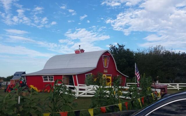Seven Oklahoma Pumpkin Patches Worth a Fall Saturday Before the Season Wraps Up