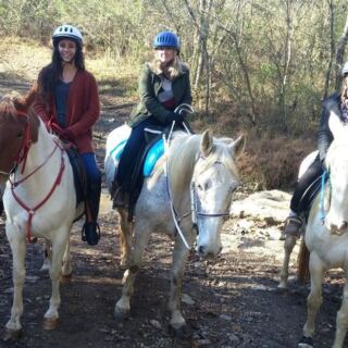Feed Carrots to Sweet Horses and Ride Peaceful Trails at This Tennessee Farm