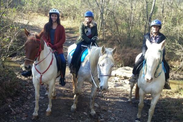 Feed Carrots to Sweet Horses and Ride Peaceful Trails at This Tennessee Farm