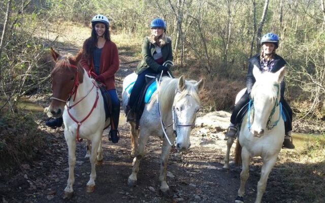 Feed Carrots to Sweet Horses and Ride Peaceful Trails at This Tennessee Farm