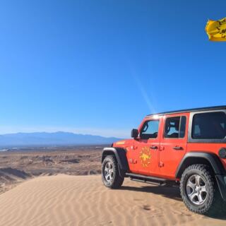 This Michigan Dune Buggy Adventure Lets You Drive Across 450 Acres of Sand