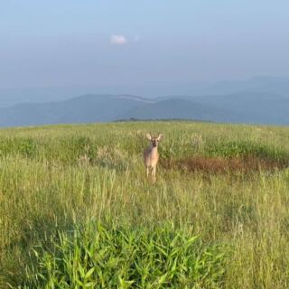 This Tiny North Carolina Town Sits Above 3,000 Feet, and Its October Hillsides Glow Red and Gold