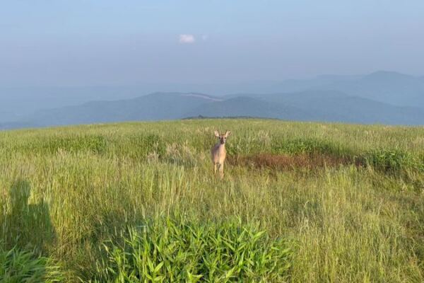 This Tiny North Carolina Town Sits Above 3,000 Feet, and Its October Hillsides Glow Red and Gold