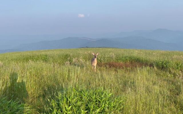 This Tiny North Carolina Town Sits Above 3,000 Feet, and Its October Hillsides Glow Red and Gold