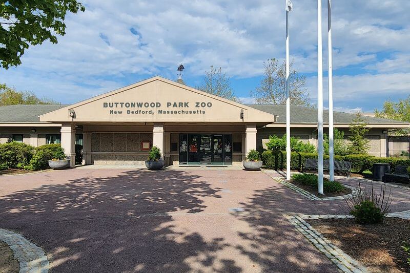 These 7 Small Massachusetts Zoos and Animal Parks Cost Less Than a Family Movie Night