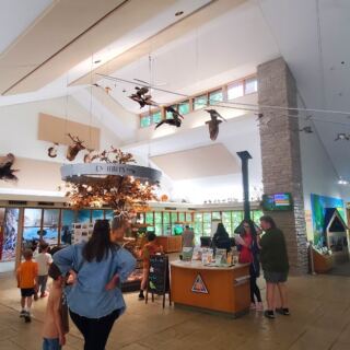 This Missouri Nature Center Has Live Animals, a Treehouse, and Free Admission