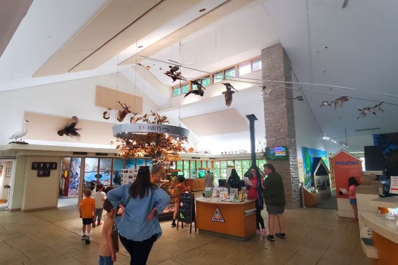 This Missouri Nature Center Has Live Animals, a Treehouse, and Free Admission
