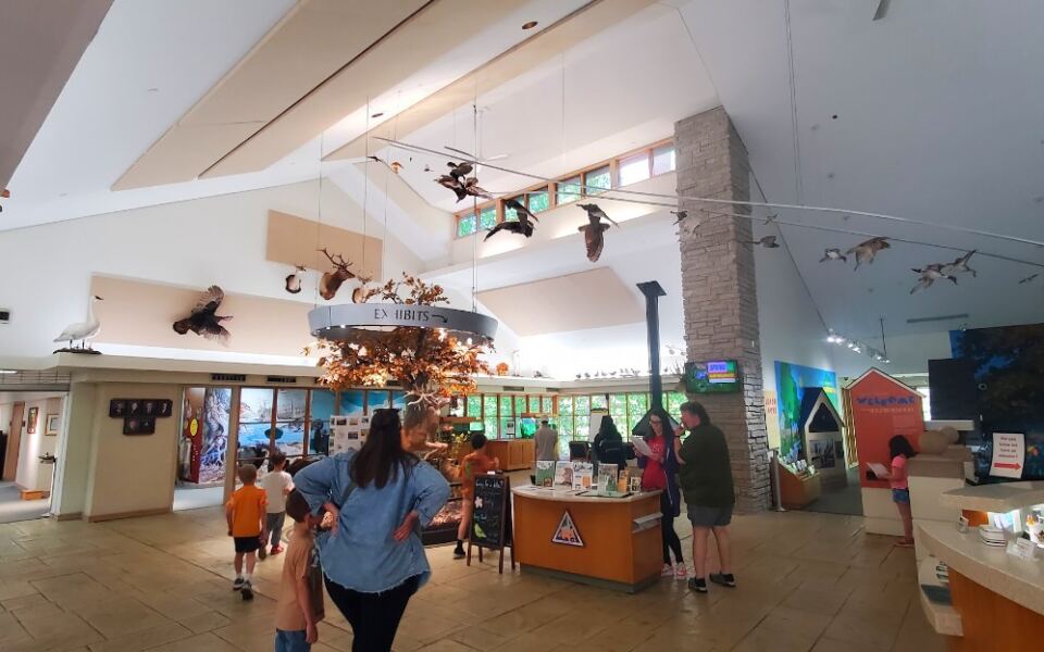 This Missouri Nature Center Has Live Animals, a Treehouse, and Free Admission