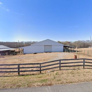 Rescued Equines Get a Second Chance at These 7 Tennessee Rescue Farms