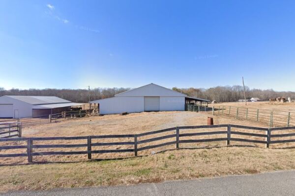 Rescued Equines Get a Second Chance at These 7 Tennessee Rescue Farms