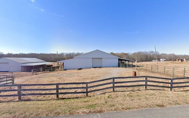 Rescued Equines Get a Second Chance at These 7 Tennessee Rescue Farms