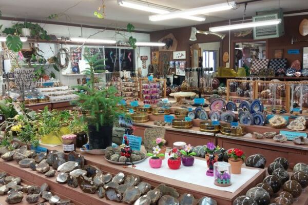 Dig Through Bins of Fossils and Agates at This Quirky Oregon Rock Shop