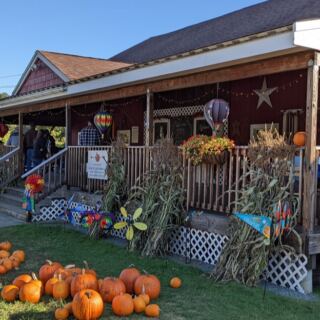 Pick Blueberries, Then Grab Pie and Cider Donuts at This Family Farm in Harvard, Massachusetts