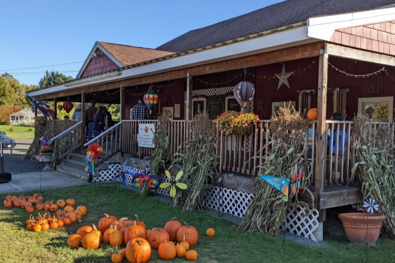 Pick Blueberries, Then Grab Pie and Cider Donuts at This Family Farm in Harvard, Massachusetts