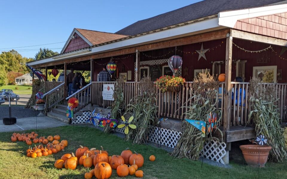 Pick Blueberries, Then Grab Pie and Cider Donuts at This Family Farm in Harvard, Massachusetts