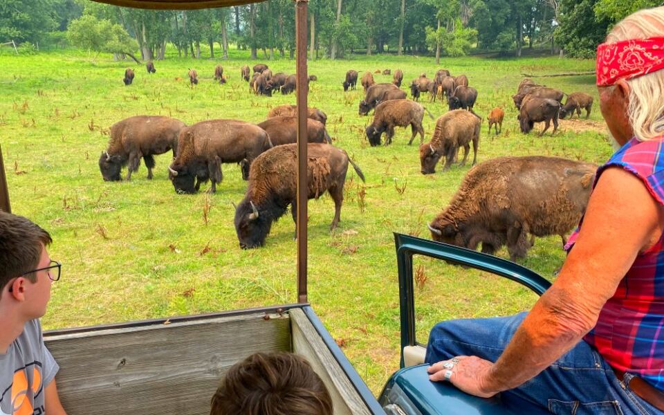 From Wagon Rides to Bison Trains, 12 Ranches Worth Visiting