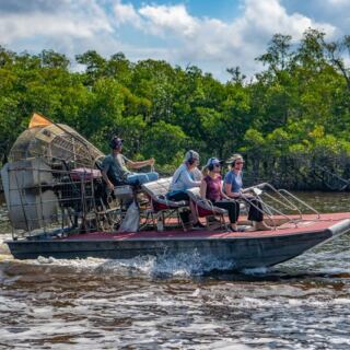 Skim Across Sawgrass on an Old Florida Airboat Ride Near Everglades City, Where Gators Sunbathe Beside You
