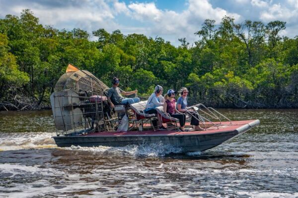 Skim Across Sawgrass on an Old Florida Airboat Ride Near Everglades City, Where Gators Sunbathe Beside You