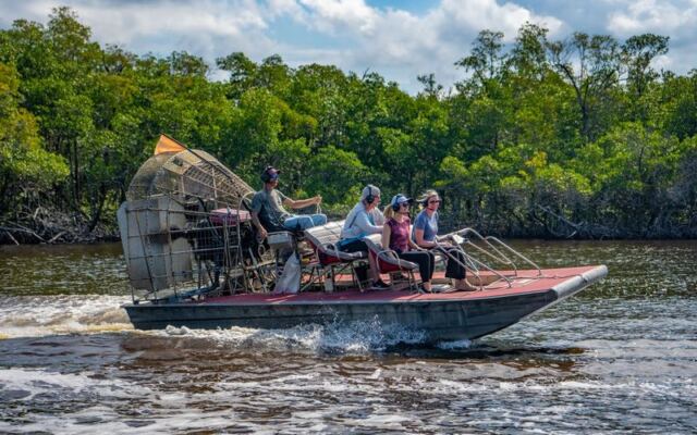 Skim Across Sawgrass on an Old Florida Airboat Ride Near Everglades City, Where Gators Sunbathe Beside You