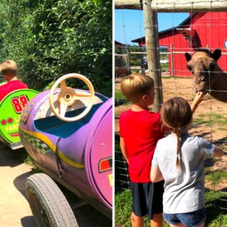 This Michigan Farm Has Exotic Animals, Camel Rides, and More Than Just Barnyard Fun