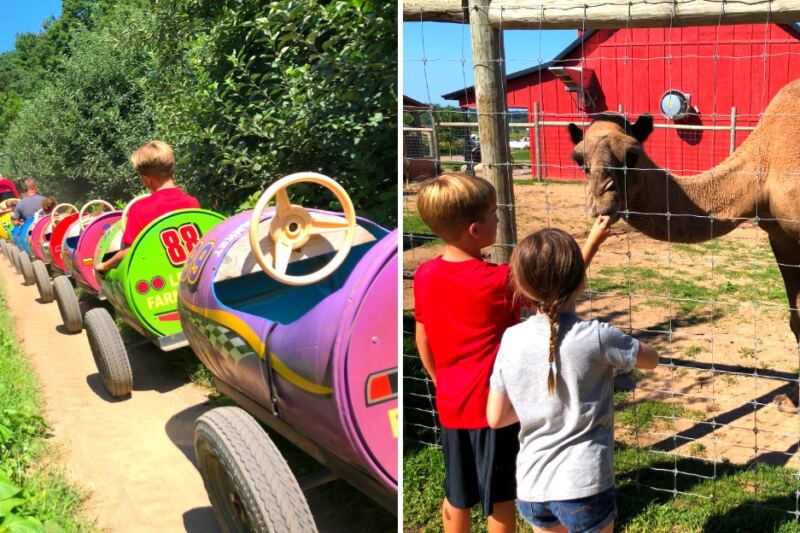 This Michigan Farm Has Exotic Animals, Camel Rides, and More Than Just Barnyard Fun