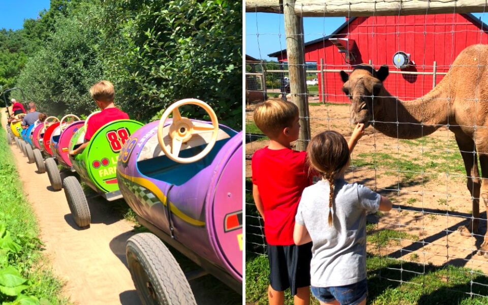 This Michigan Farm Has Exotic Animals, Camel Rides, and More Than Just Barnyard Fun