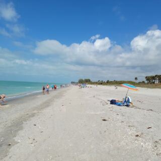 Fossil Hunters Pull Ancient Shark Teeth From the Sand on These 7 Florida Beaches