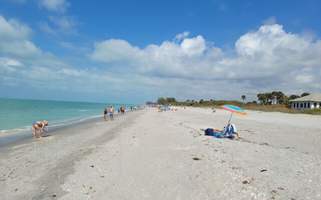 Fossil Hunters Pull Ancient Shark Teeth From the Sand on These 7 Florida Beaches