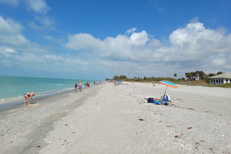Fossil Hunters Pull Ancient Shark Teeth From the Sand on These 7 Florida Beaches