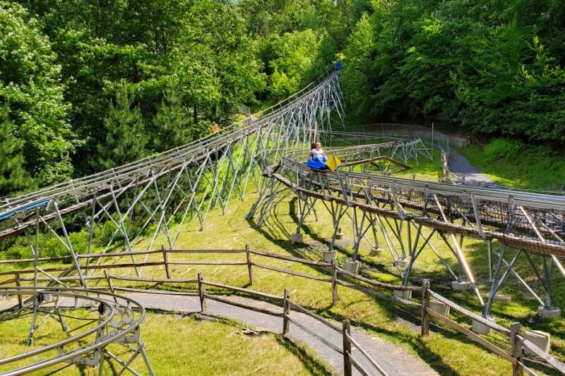 This Pennsylvania Mountain Coaster Lets You Control the Speed Through the Woods