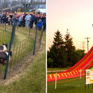 This Michigan Pumpkin Farm Has 30+ Attractions and a Giant Slide