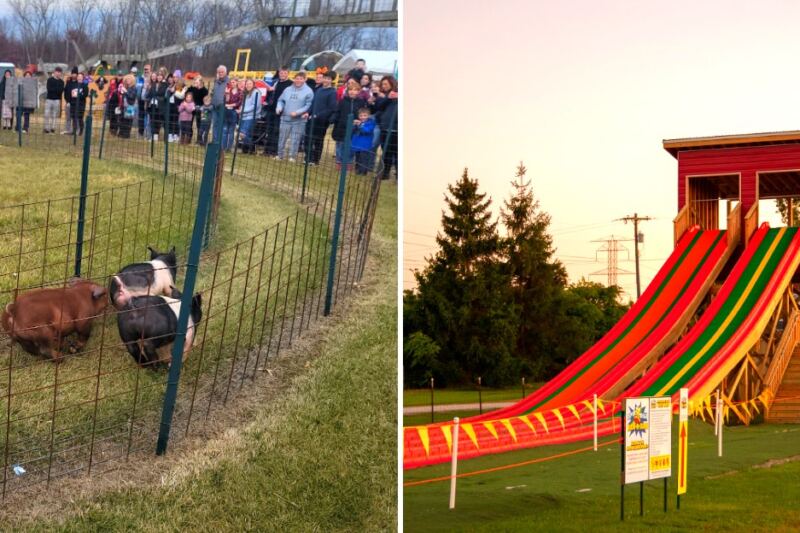This Michigan Pumpkin Farm Has 30+ Attractions and a Giant Slide