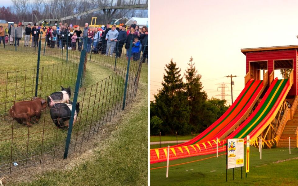 This Michigan Pumpkin Farm Has 30+ Attractions and a Giant Slide
