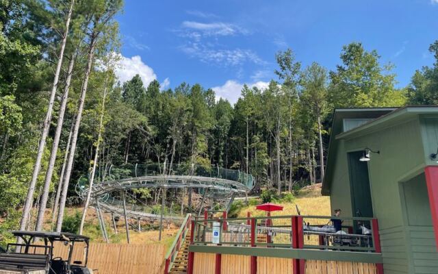 Riders Hit 40 MPH on This North Carolina Alpine Coaster Weaving Through the Blue Ridge Forest