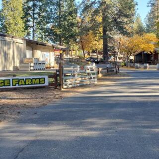 Pick Your Own Persimmons and Sip Fresh Apple Cider at Apple Ridge Farms in Placerville, California