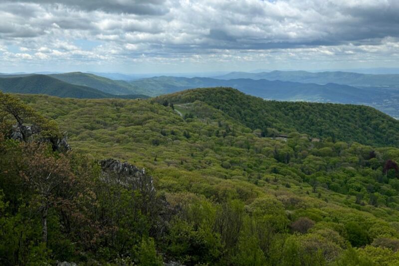 This Virginia Trail Reaches Shenandoah’s Second-Highest Peak In Just 1.6 Miles