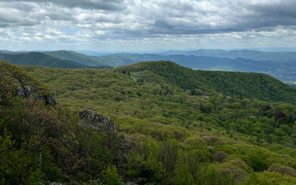 This Virginia Trail Reaches Shenandoah’s Second-Highest Peak In Just 1.6 Miles
